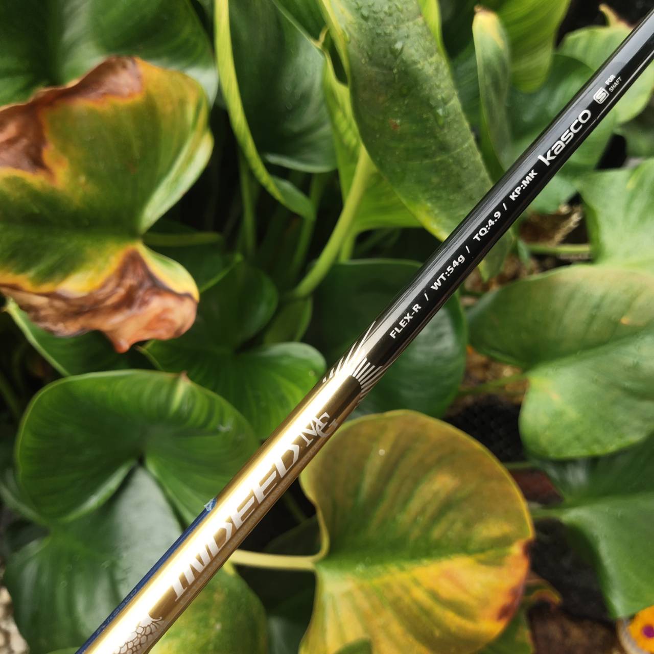 ชุดเหล็กหน้าเด้งมาก!!! KASCO INDEED MARAGING!!! ชุดพรีเมี่ยมสูงสุดของ KASCO ของใหม่ราคาแพงมากๆๆ ญี่ปุ่นแท้ หน้า MARAGING เด้งสุดขีด ตีไกลสุดขั้ว ตีง่ายก้านเบา ไม้กอล์ฟพรีเมี่ยมญี่ปุ่นมือสอง