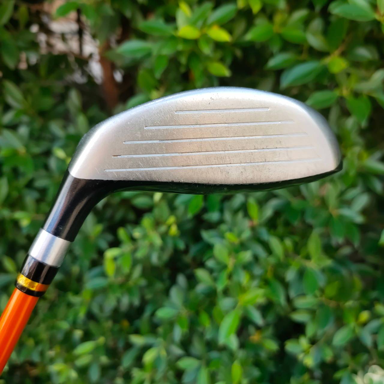 FW3 Royal Collection SFD III ก้าน TOUR AD DI-5 R1 กริพ IOMIC อย่างดี เป็นสุดยอด FW ยอดนิยมในญี่ปุ่น!! ไม้กอล์ฟมือสอง ของแท้ BY NakaraLuxurious