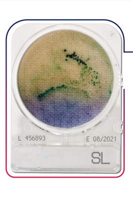 เพลทนับเชื้อสำเร็จรูป Compact Dry Salmonella species (SL) 40/pK