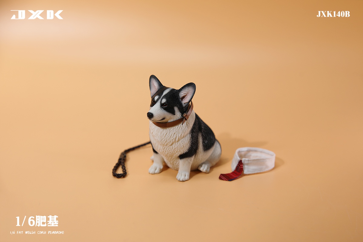 [สั่งจอง]JXK 1/6 : Fat Welsh Corgi Pembroke