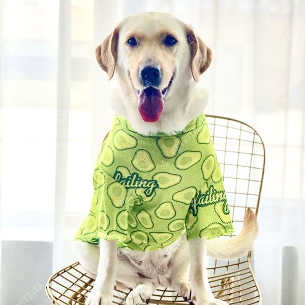 🇹🇭พร้อมส่ง🇹🇭 🐕🦮🐕 BIGSIZE เสื้อ หมาใหญ่ หมาอ้วน ลายแฟชั่นน่ารัก ผ้ารูใส่สบาย FOR สัตว์เลี้ยง สุนัขพันธุ์ใหญ่