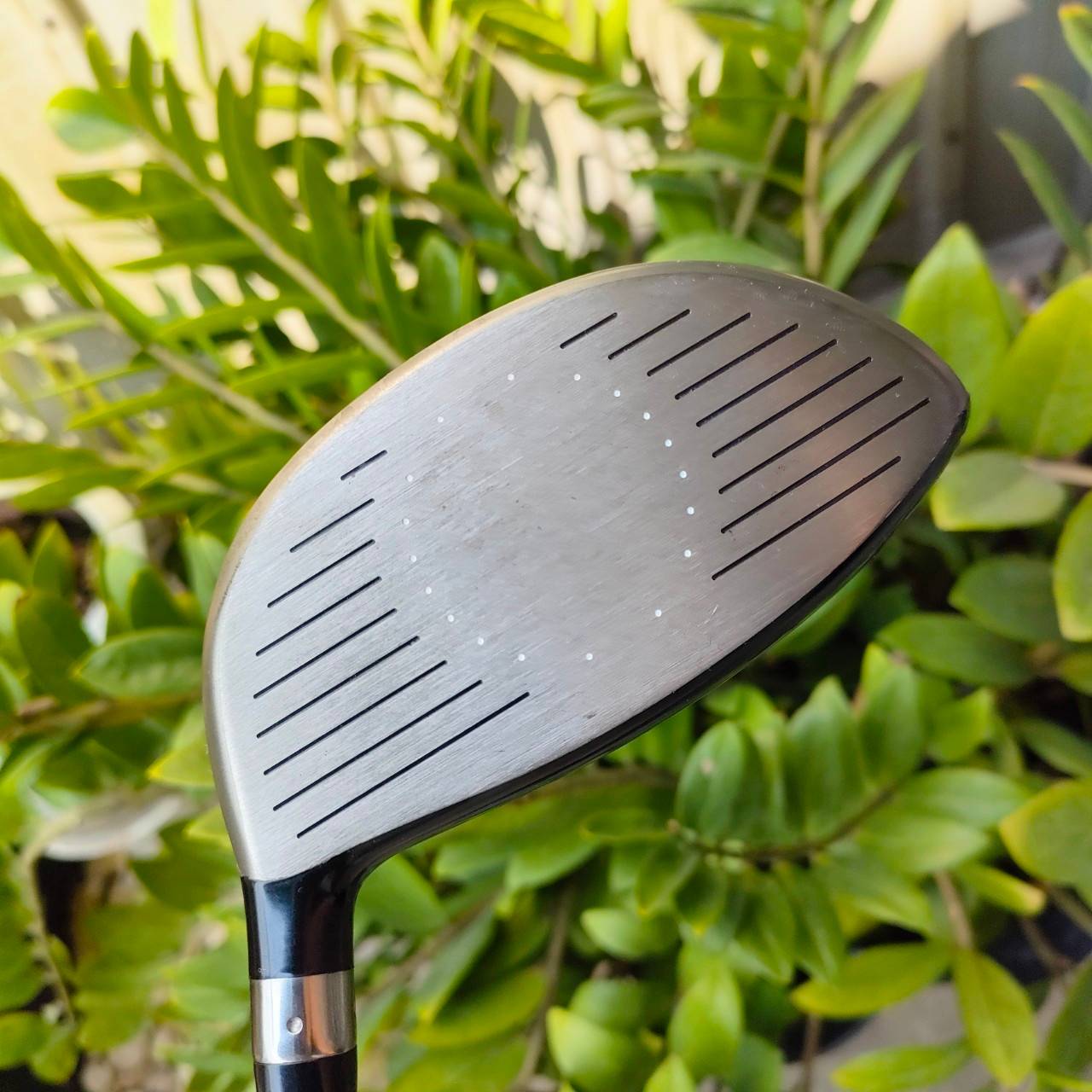 DRIVER NIKE SQ SUMO องศา 10.5 ก้าน DIAMANA SASQUATCH FLEX R หัวทรงสี่เหลี่ยม HiGH M.O.I. ตีง่ายสุดๆ ไม้กอล์ฟพรีเมี่ยมมือสอง ของแท้ By NakaraLuxurious