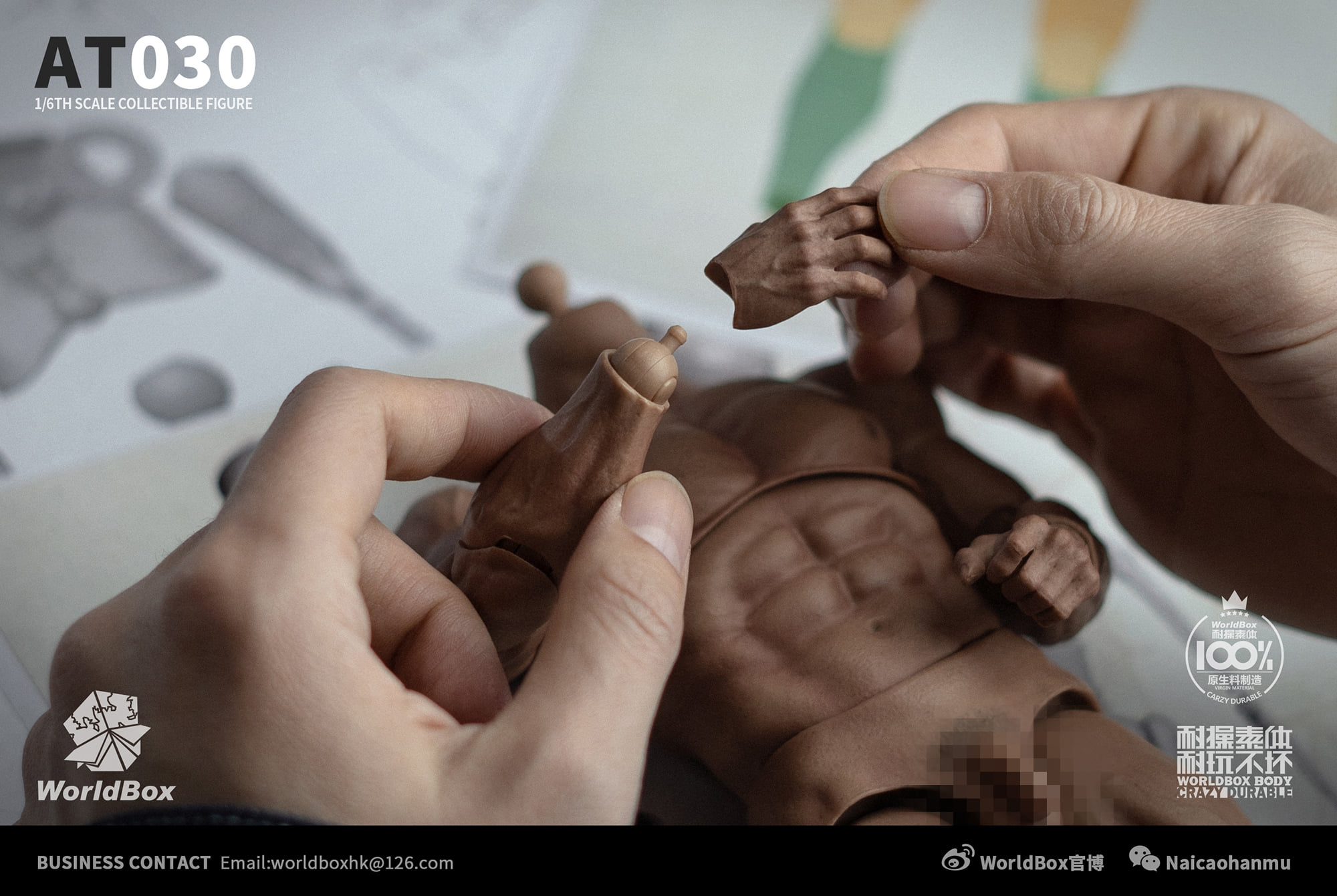 [สั่งจอง]Worldbox AT030 1/6 : DURABLE STRONG BODY