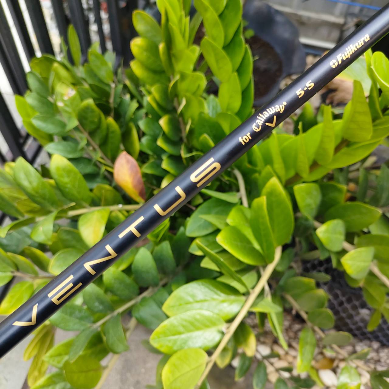 Driver Callaway ROGUE ST MAX 2022 องศา 10.5 ก้าน FUJIKURA VENTUS 5S ตีไกลแบบเต็ม MAX สุดขีด!!! COVER แท้เดิม ไม้กอล์ฟพรีเมี่ยมมือสอง ของแท้ By NakaraLuxurious