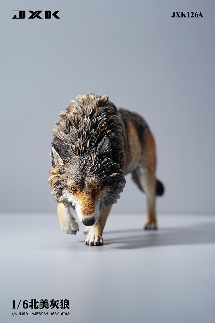 [สั่งจอง]JXK JXK126 1/6 : North American Grey Wolf