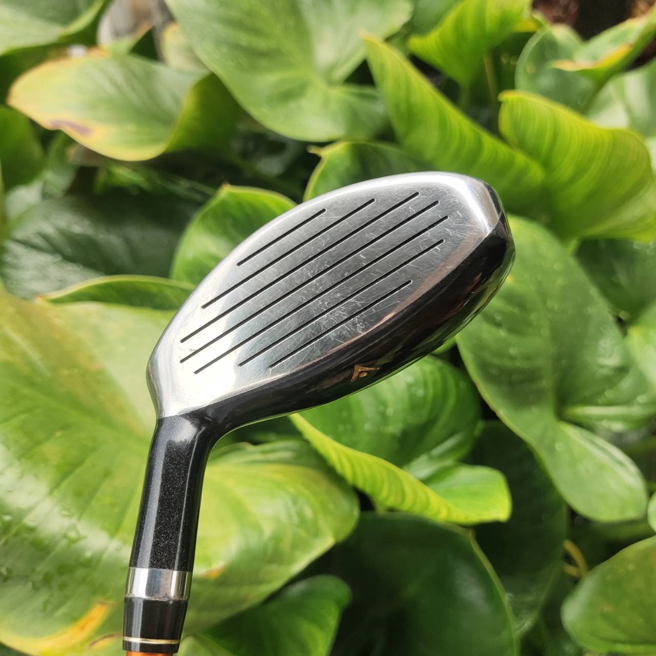 U4 หน้าเด้ง MARAGING!!! องศา 22 UNLIMA U.S.A. SUPER HYBRID ก้านผลิตจาก TORAYCA FLEX R