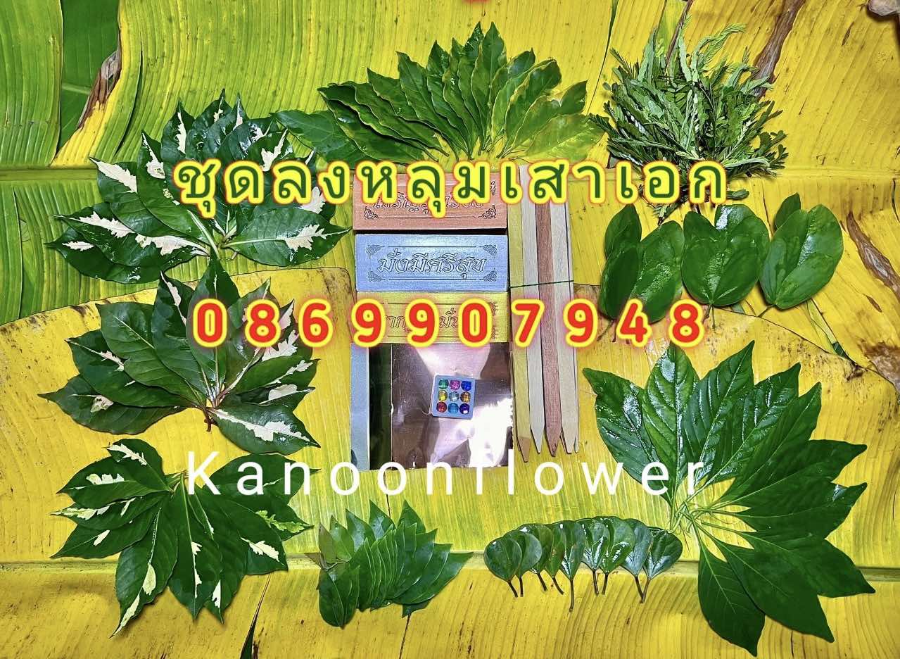 ใบไม้มงคลพิธี9อย่าง