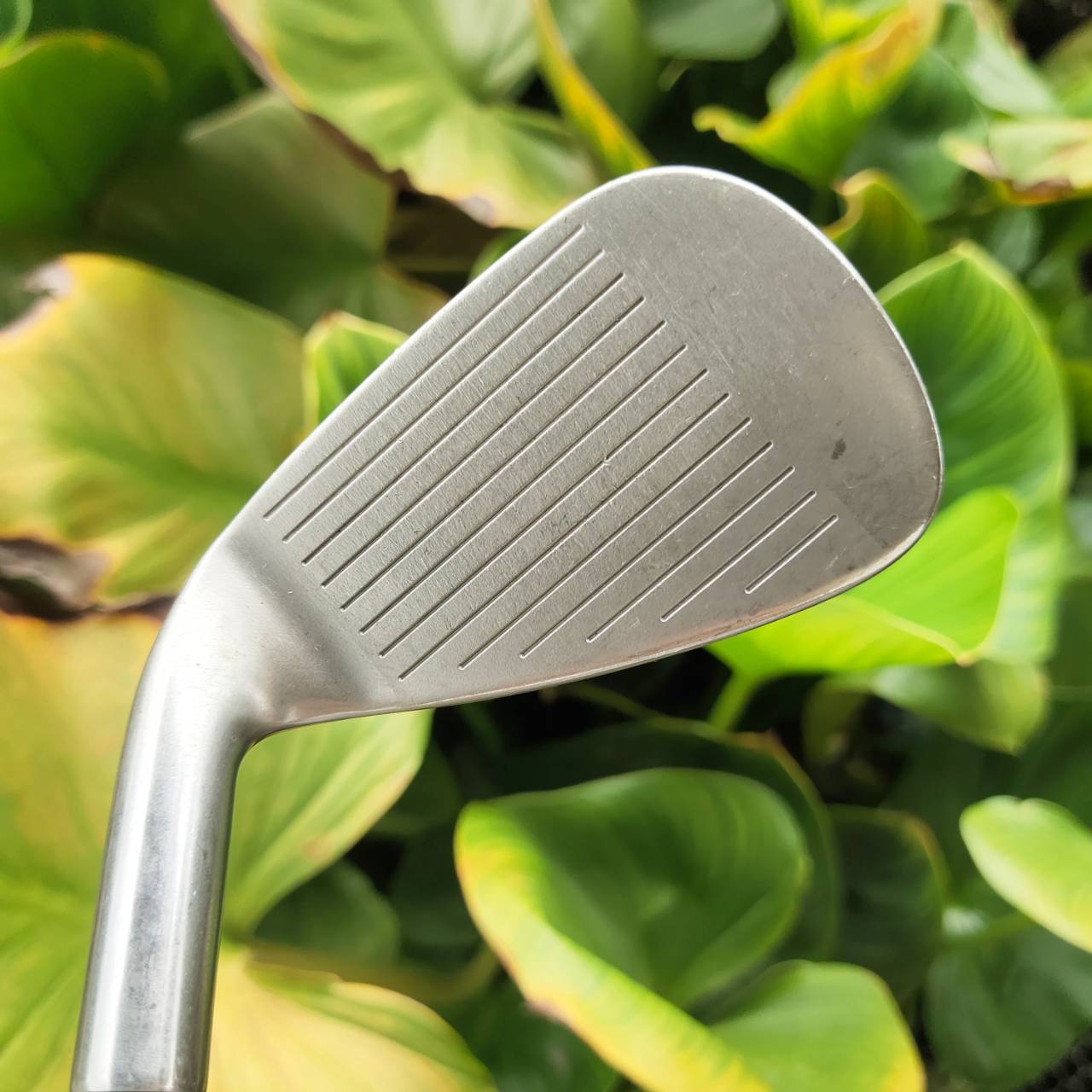 ชุเหล็ก Callaway RAZR X TOUR เซ็ตเหล็กระดับทัวร์ ที่ตีง่ายมากที่สุด!