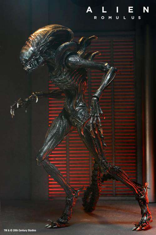 [สั่งจอง] Neca : Alien - Romulus