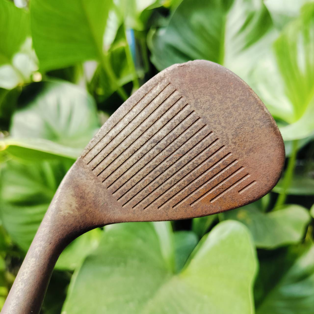 WEDGE CLEVELAND REG588 สนิม องศา 56 ก้านเดิม WEDGE FLEX เป็นรุ่น 588 ดั่งเดิมที่โด่งดังเป็นพลุแตก รุ่นนี้สุดคลาสสิคและเป็นรุ่นสนิมยอดนิยม ไม้กอล์ฟพรีเมี่ยมมือสอง ของแท้ By NakaraLuxurious