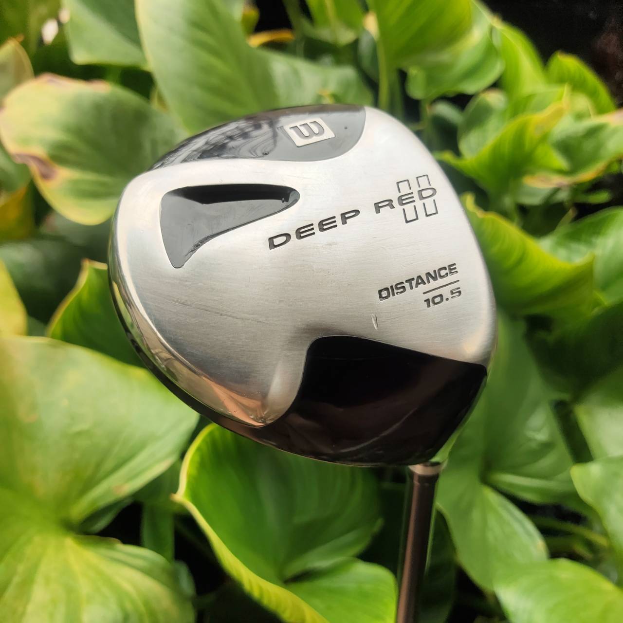 Driver WILSON DEEPRED DISTANCE เน้นตีไกล ก้าน GRAFALLOY PROLITE+ หัวเบต้าไทเทเนี่ยม หน้าเด้ง