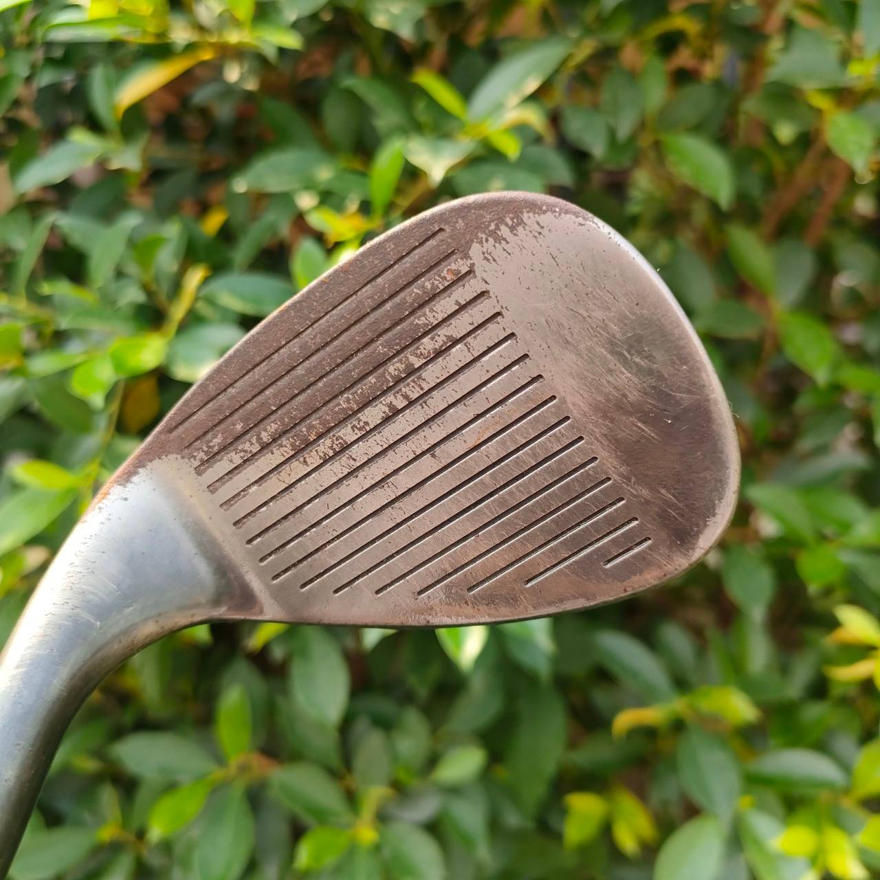 WEDGE CLEVELAND REG 588 องศา 56 ก้าน DYNAMIC GOLD