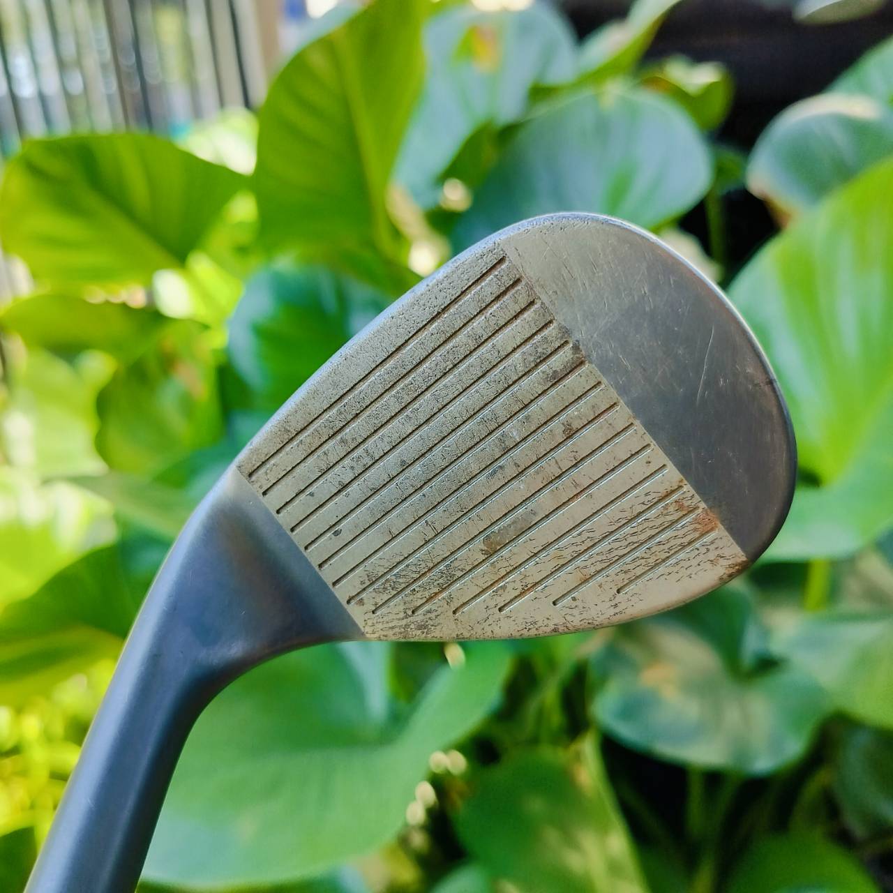 WEDGE CLEVELAND 900 TOUR ACTION องศา 52 เป็นแบบ LOW BOUNCE ก้าน เดิม กริพเดิม WEDGE FLEX วัสดุ FORGED ได้ฟีลลิ่ง สีดำดุดัน ไม้กอล์ฟพรีเมี่ยมมือสอง ของแท้ By NakaraLuxurious