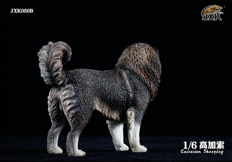 [สั่งจอง]JXK JXK050 1/6 : Caucasian Sheepdog