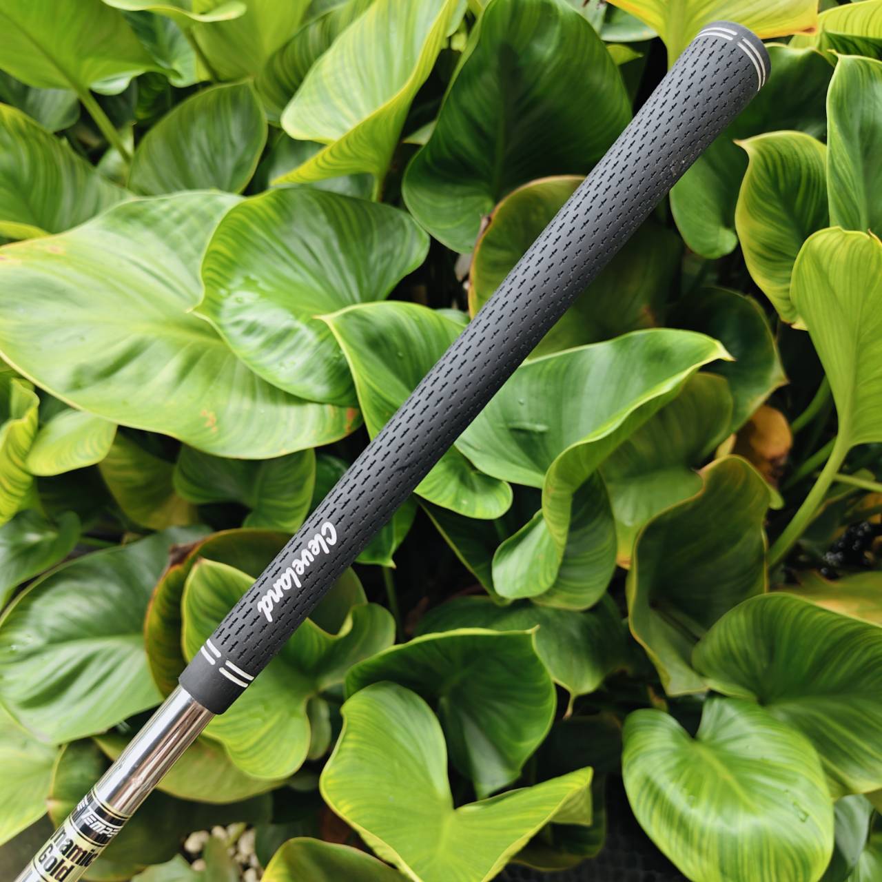 WEDGE CLEVELAND 588 RTX 60° / 12° หน้า Rotex Face โหดที่สุดแน่นอน!!!