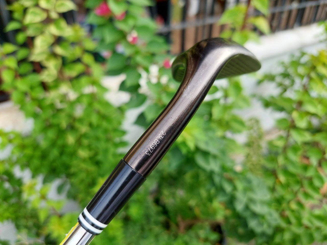WEDGE CLEVELAND Cg17
