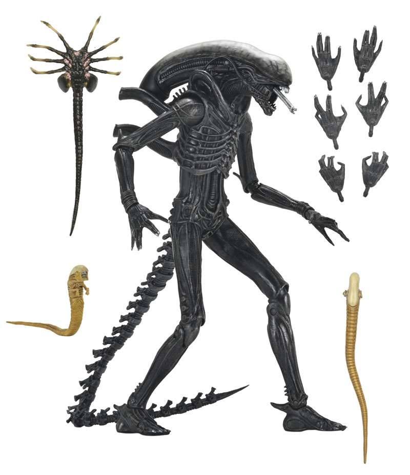 [สั่งจอง]Neca : Xenomorph XX121
