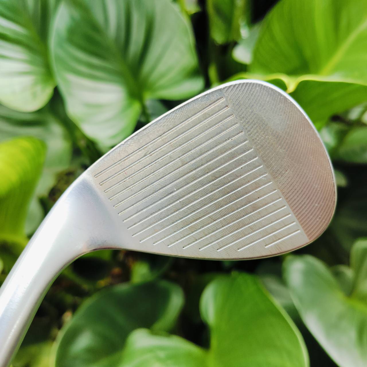 WEDGE CLEVELAND RTX4 องศา 50 BOUNCE 10 MID ก้าน DYNAMIC GOLD S200 สปินเพิ่มขึ้น ควบคุมลูกสั้นได้ดี ไม้กอล์ฟพรีเมี่ยมมือสอง ของแท้ By NakaraLuxurious