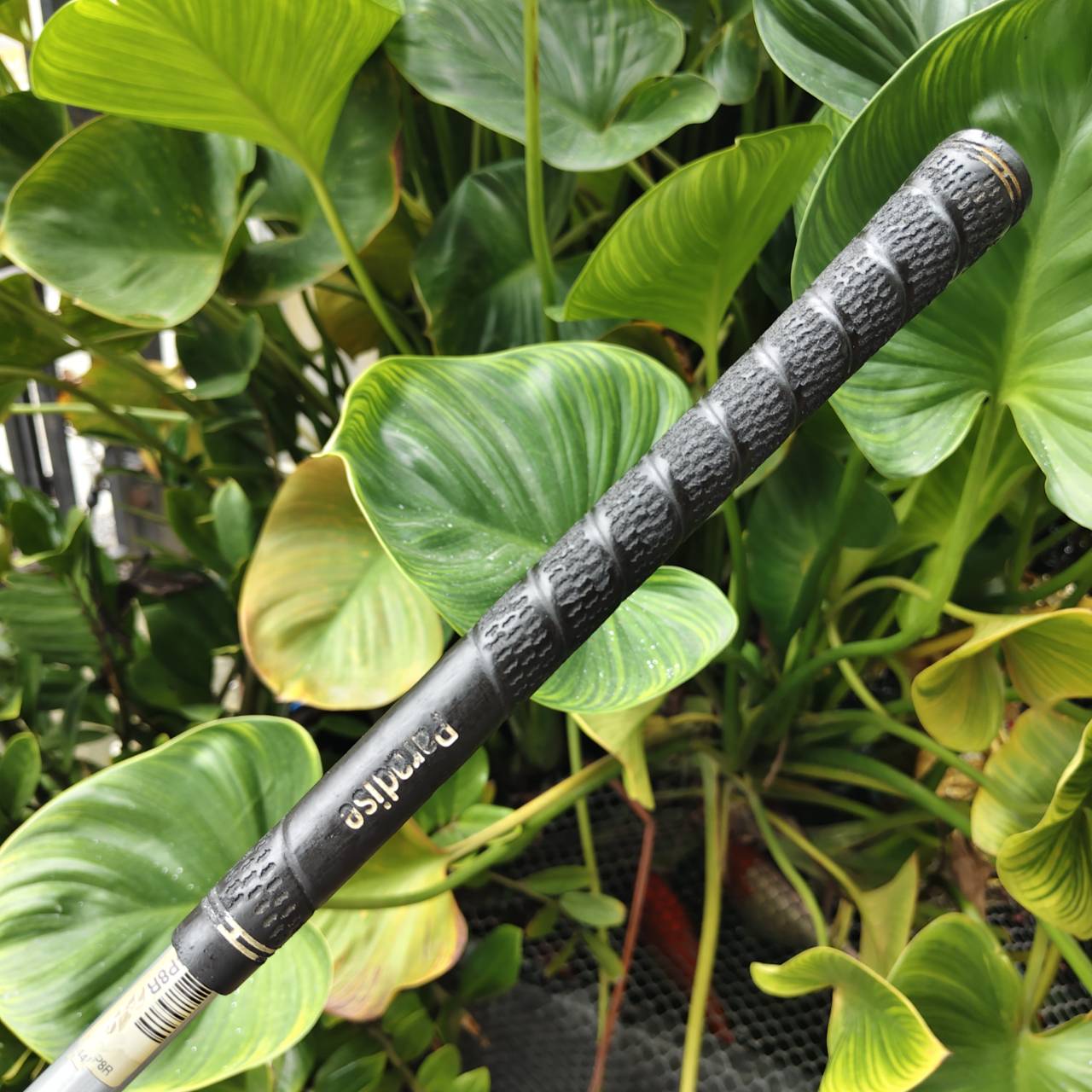 Driver Cleveland Ti 460 – พุ่งแรง ควบคุมง่าย ระยะมาแบบจัดเต็ม!