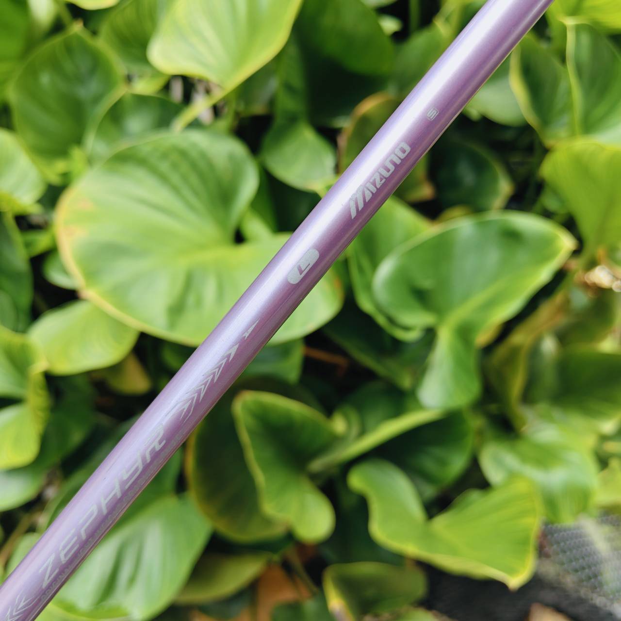 Driver Mizuno Zephyr (ญี่ปุ่น) – Flex Lady ไดรเวอร์คุณภาพจากญี่ปุ่น สำหรับผู้หญิง