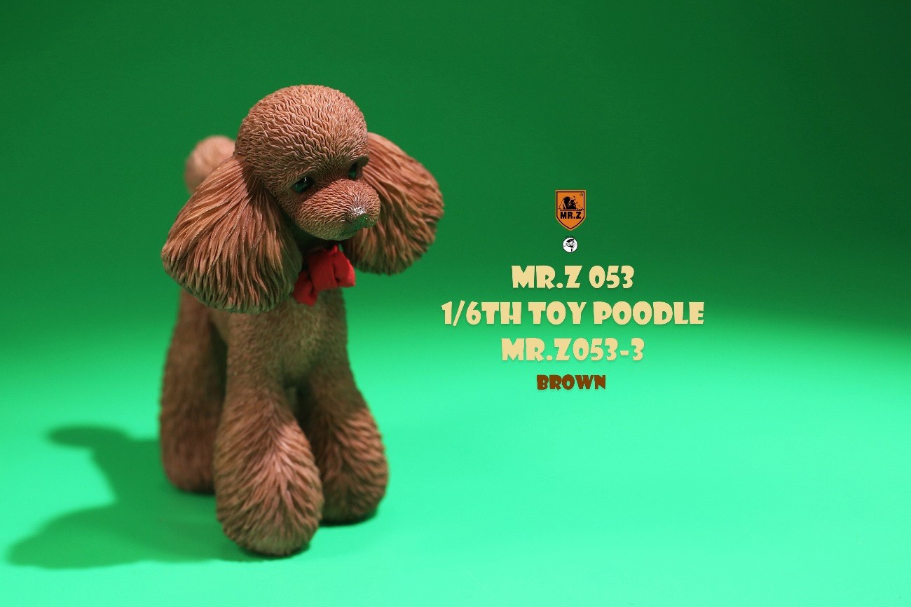 [สั่งจอง]Mr.Z MRZ053 animal model 1/6 : Toy Poodle