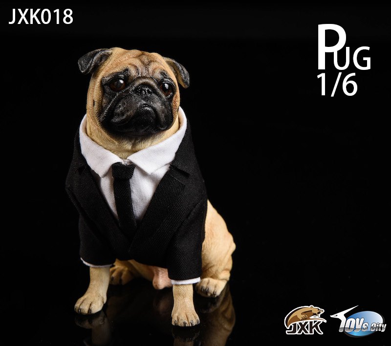 [สั่งจอง]JXK 1/6 JXK018 pug in Black-FRANK