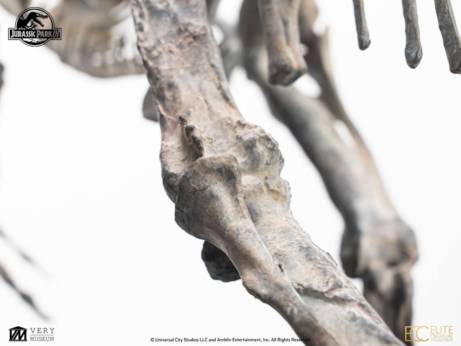 [สั่งจอง]ECC : Bronze Spinosaurus Skeleton (Jurassic Park III)