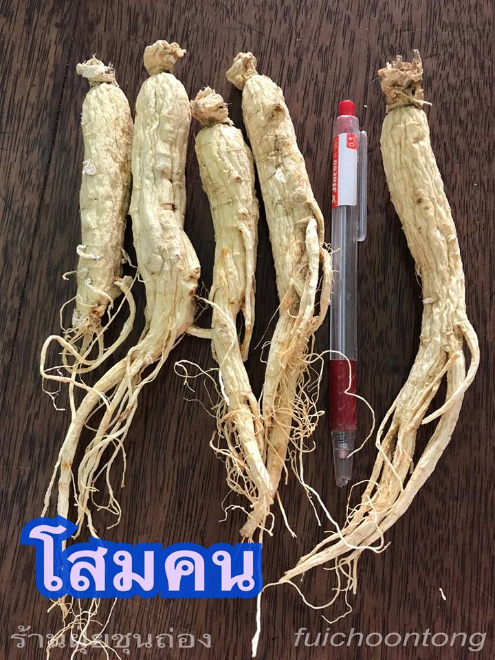 โสมคน