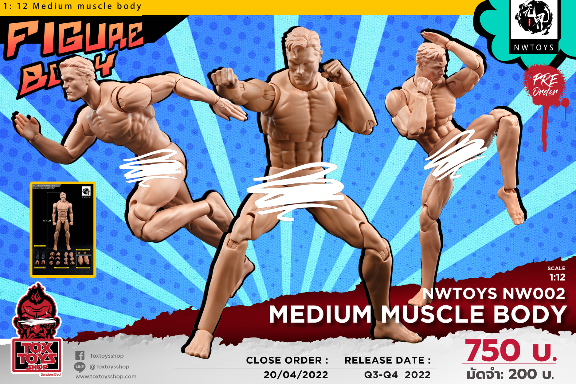 [สั่งจอง]nwtoys nw002 1/12 : Medium muscle Body