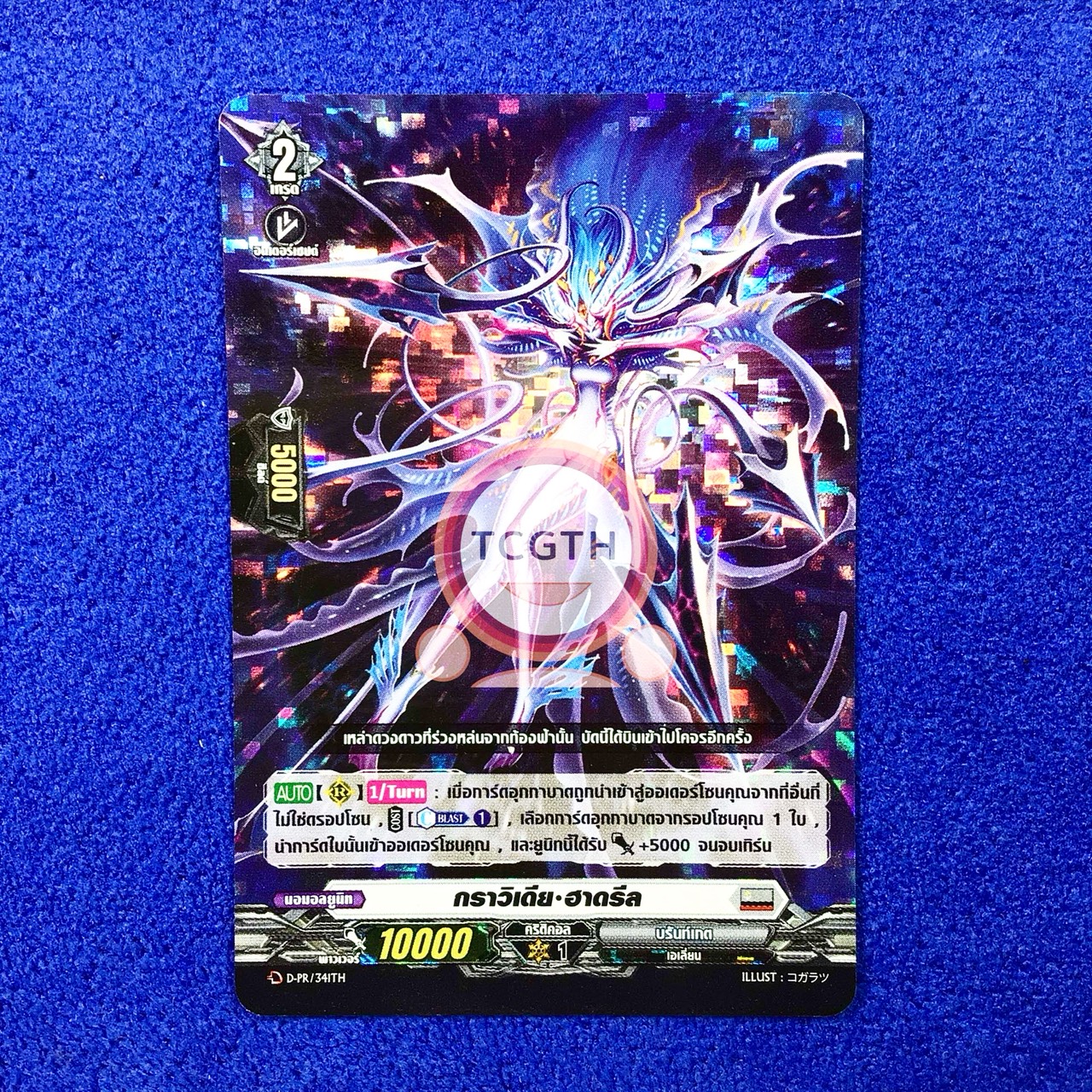 กราวิเดีย•ฮาดรีล