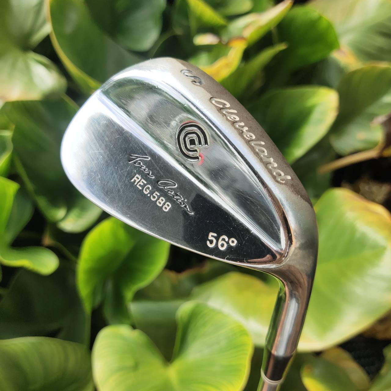 WEDGE CLEVELAND REG 588 องศา 56 FLEX WEDGE รุ่น 588 เป็นรุ่นที่ดังมากที่สุด