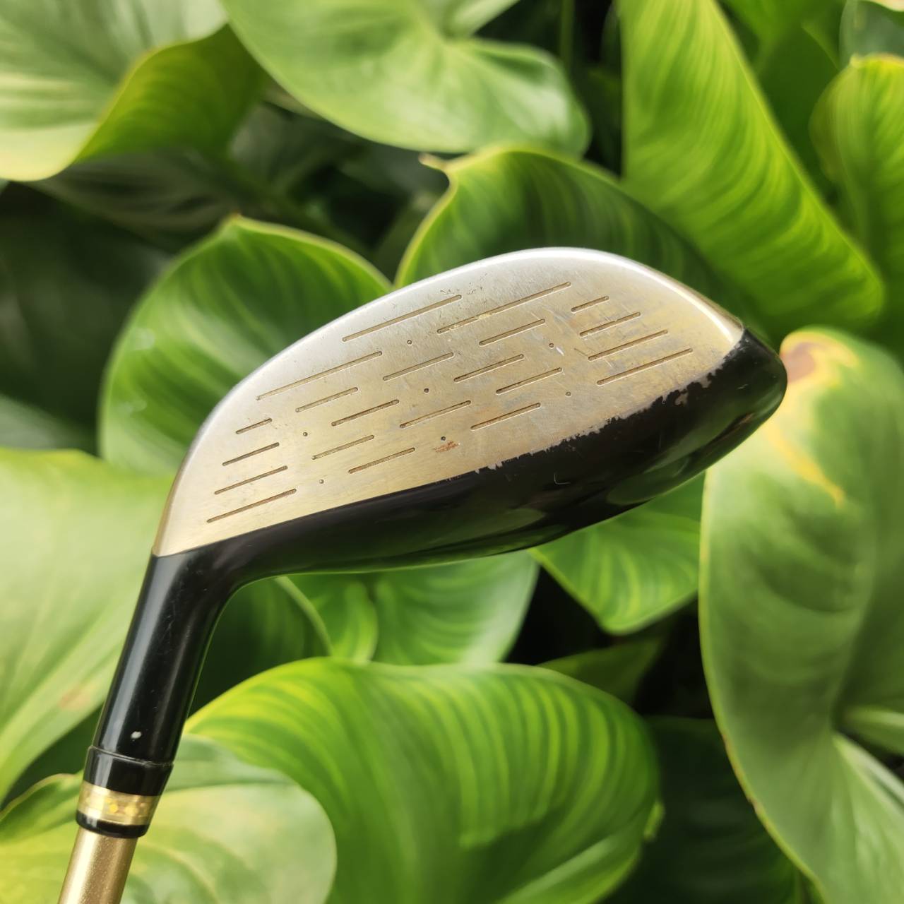 FW5 VOLTIO II G Hi GOLD รุ่น Hi หน้าเด้งมาก!!! รุ่น G มีออฟเซ็ตแก้ไขปัญหาตีเฟด