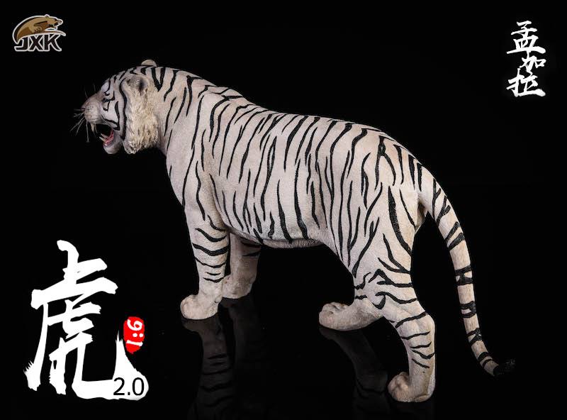 [สั่งจอง]JXK.Studio 1/6 JXK020A yellow Bengal tiger & JXK020B white Bengal tiger