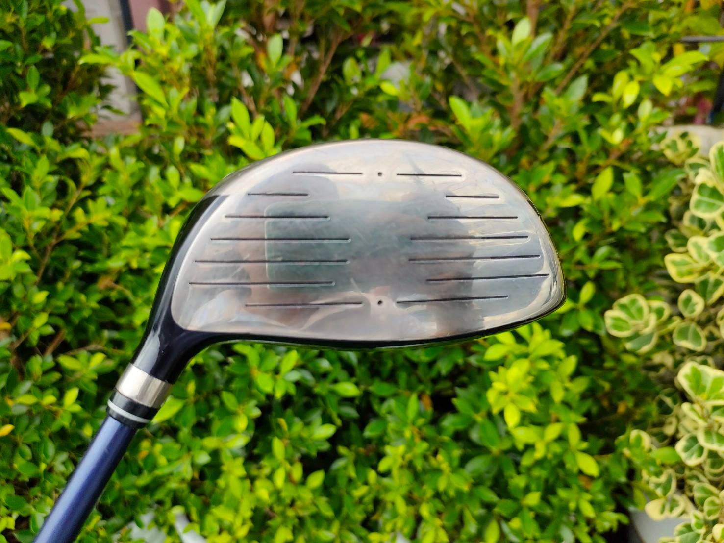 Driver WILSON AVIATOR