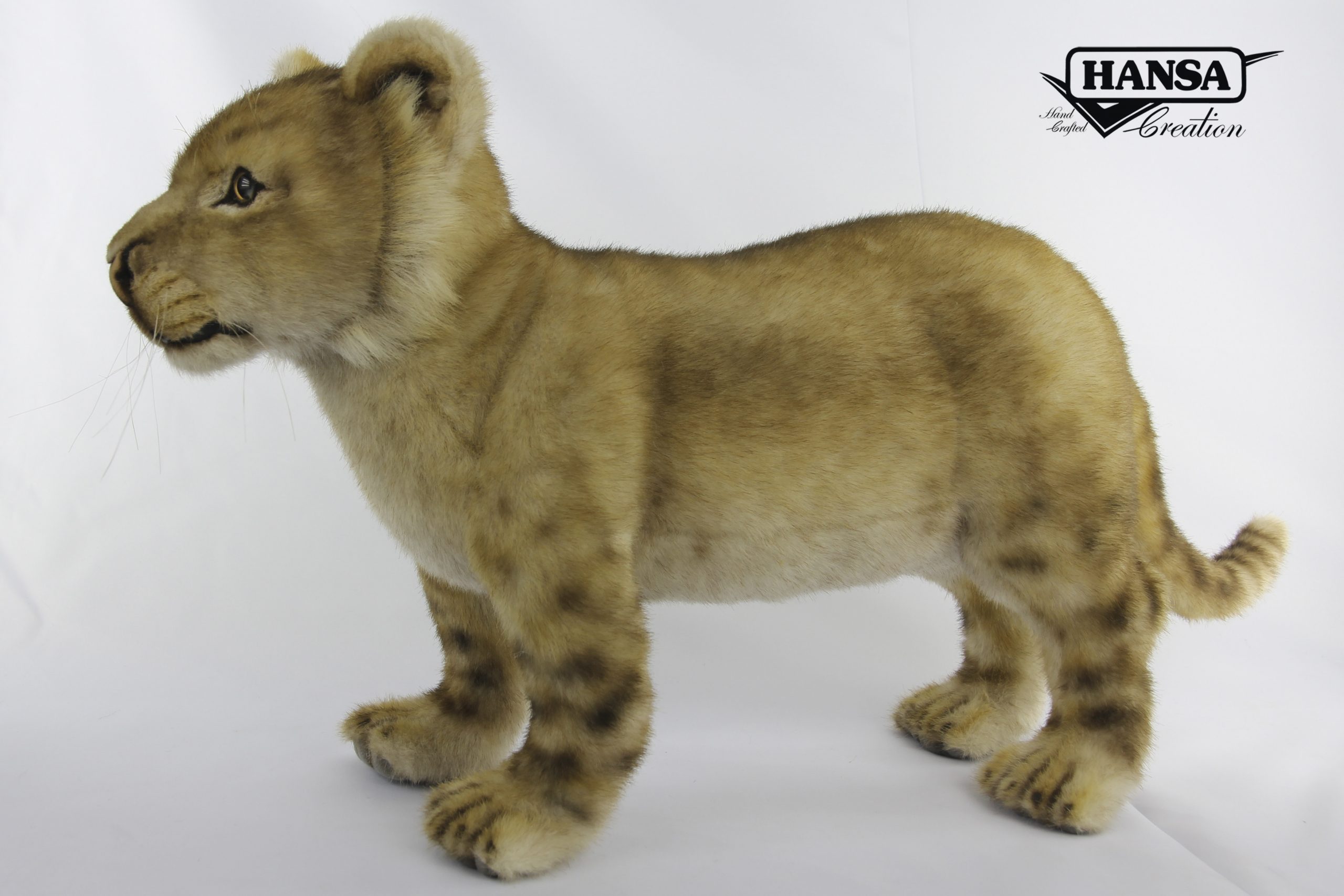 7891 Lion Standing 70cm.L