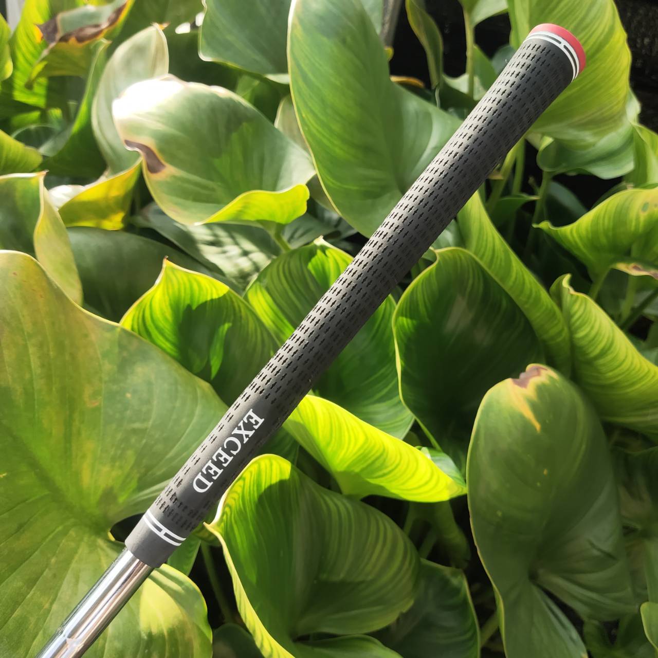 WEDGE EXCEED GOLD องศา 52 หน้าตะไบ ตกหยุดถอยๆ โหดมาก!!! วัสดุพรีเมี่ยม สีทอง สวยงามและหรูหรามาก!!!