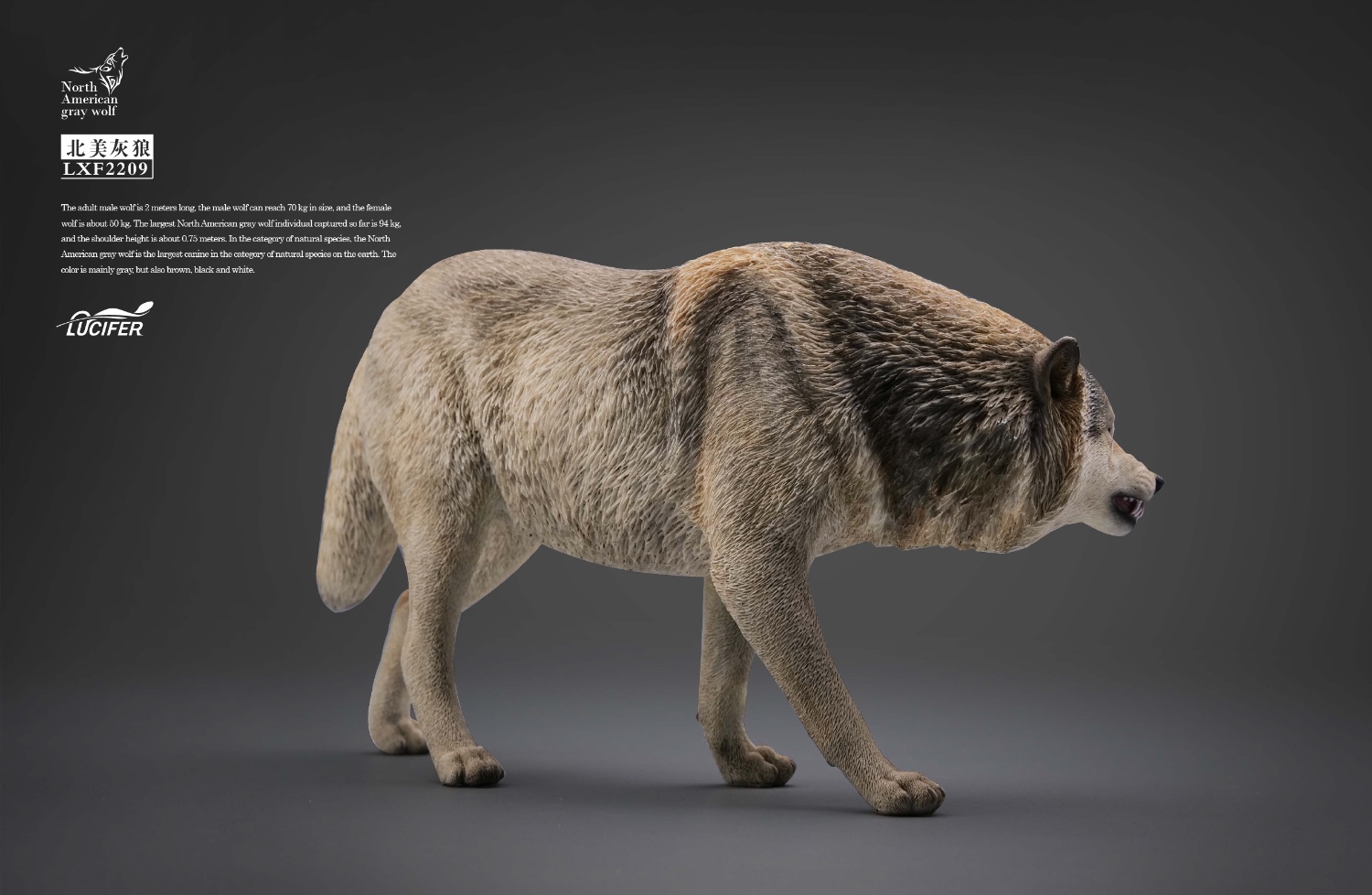 [สั่งจอง] JXK LXF2209 1/6 : Gray Wolf