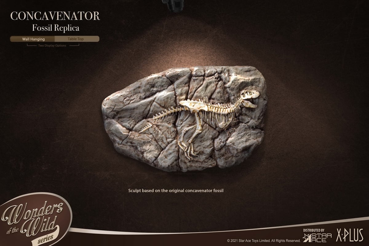 [สั่งจอง] X-Plus / STAR ACE SA5002 : WONDER WILD series Concavenator Statue