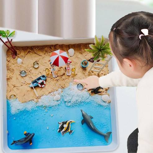 ชุดส่งเสริมประสาทสัมผัส ,เรียนรู้ชายหาด,ชายหาดจำลอง ,ของเล่นเสริมพัฒนาการ,การทดลอง,ของเล่นอนุบาล,แบบจำลอง,สินค้าพร้อมส่ง