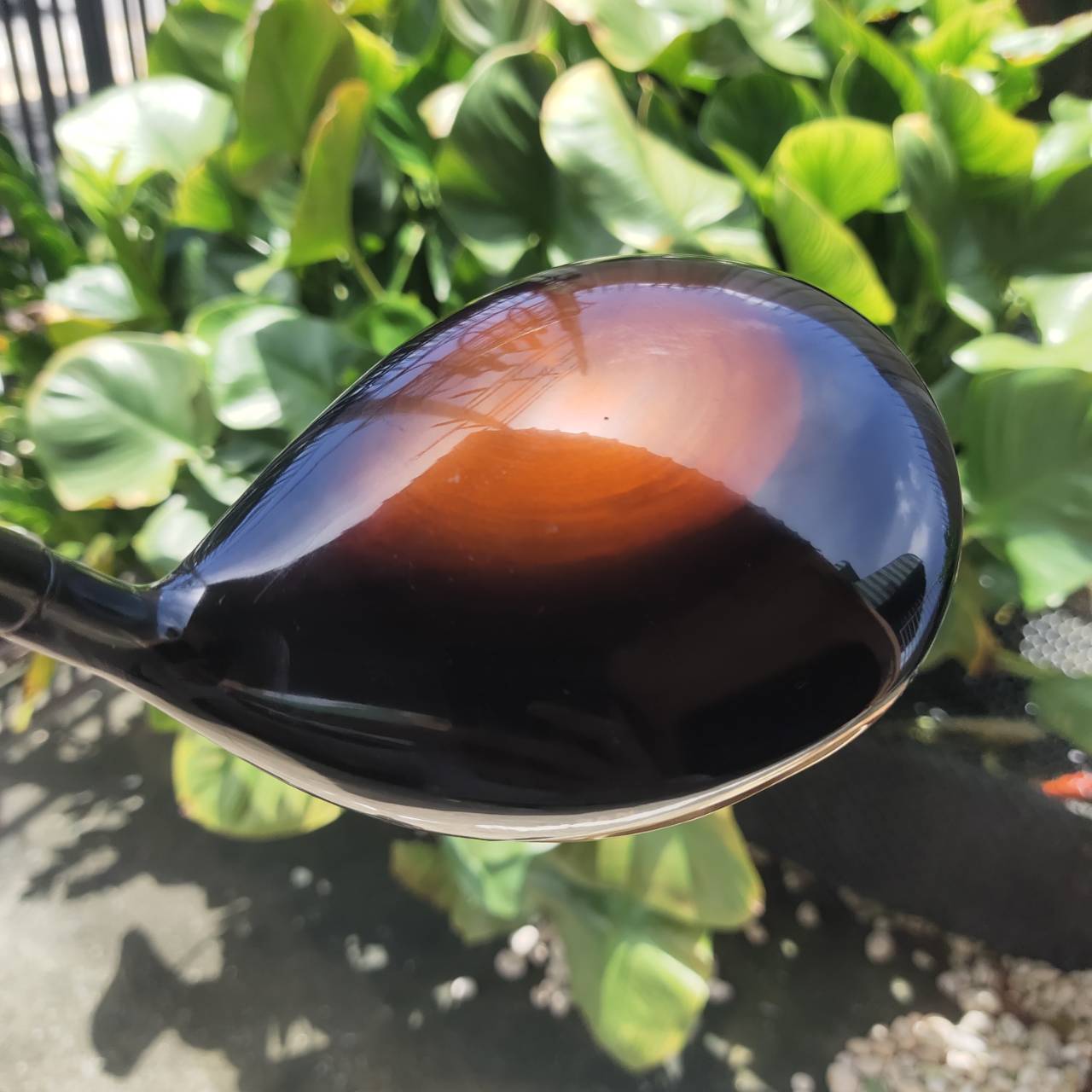 DRIVER SWORD iZU MAX COR เป็นตัวหน้าเด้งที่โหดที่สุด !!! MAX COR เด้งสุดขั้ว ชนรั้วชนธง !!!