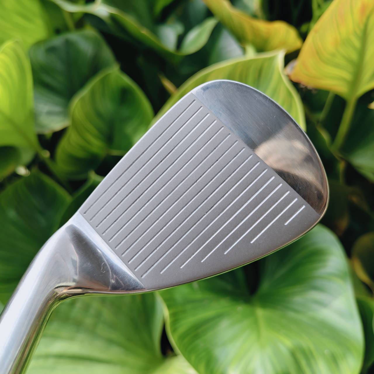 ไม้กอล์ฟสำหรับผู้หญิง FULLSET GOSEN JAPAN V-SERIES ชุดพรีเมี่ยมจากญี่ปุ่น 🔴 เบา ตีง่าย สวย