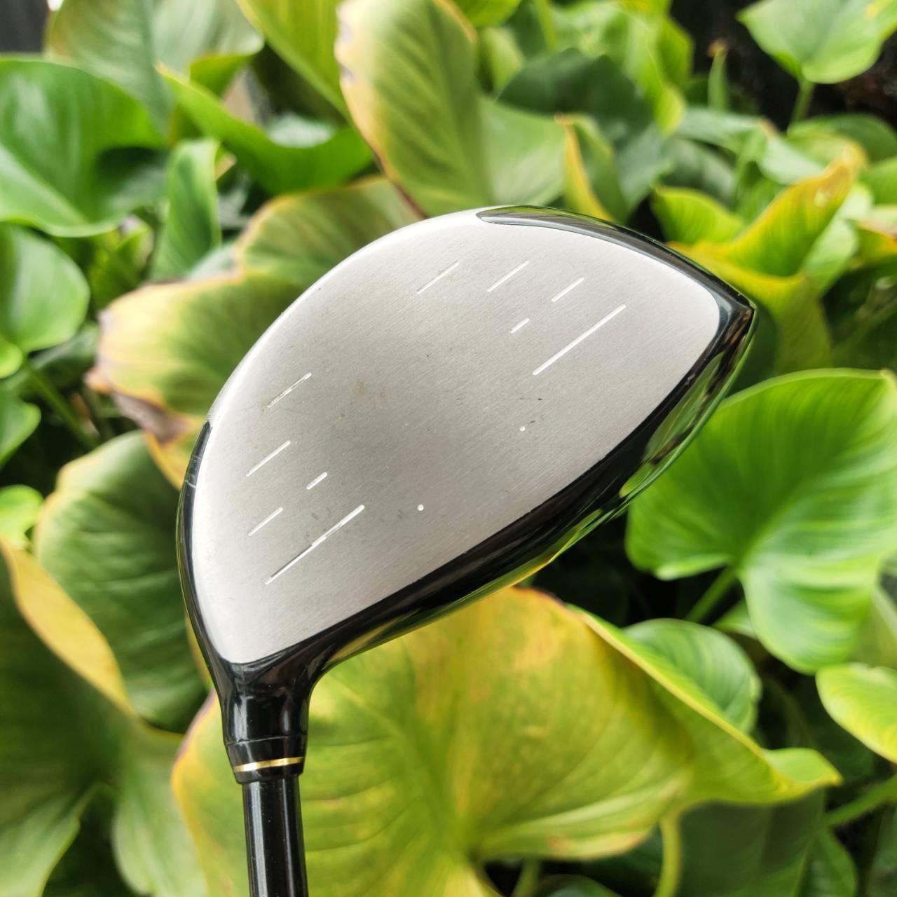 Driver XXIO 3 หัวไม้ TITANIUM หน้าเด้ง COR สูง ให้ Ball Speed ดีมาก