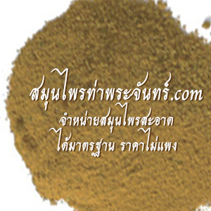 ฝักมะขามแขกผง