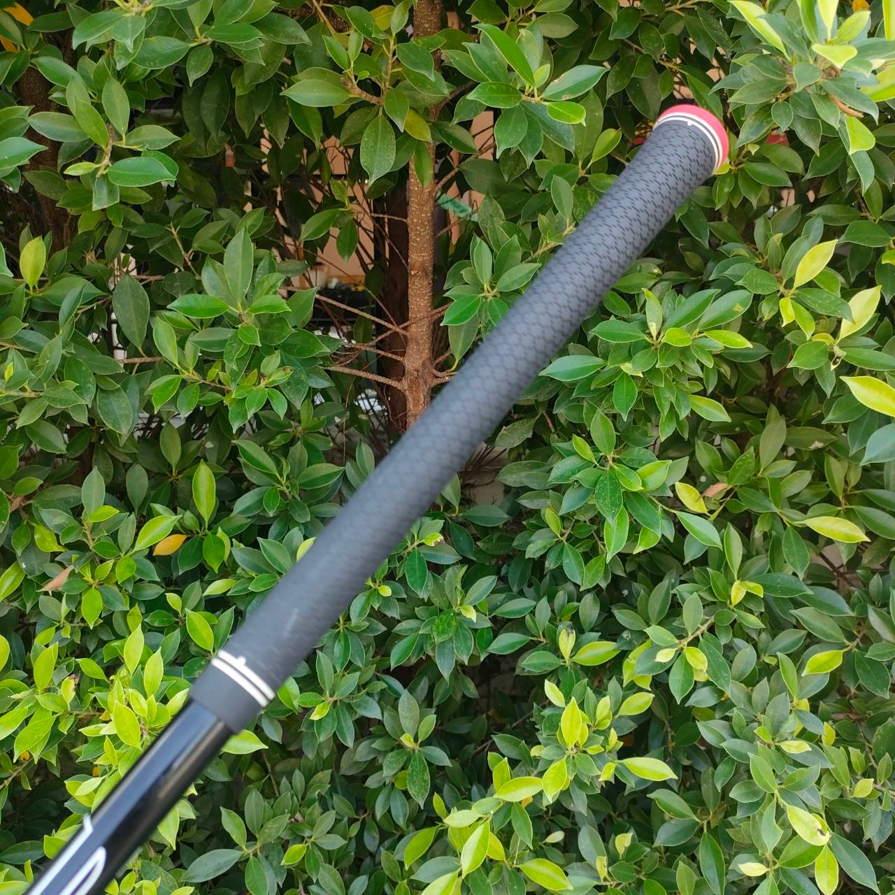 🏌️ FW5 TAYLORMADE M1 ก้าน FUJIKURA FLEX R ตีง่ายและคุณภาพสูงมากๆ ไม้กอล์ฟมือสอง ของแท้ BY NakaraLuxurious