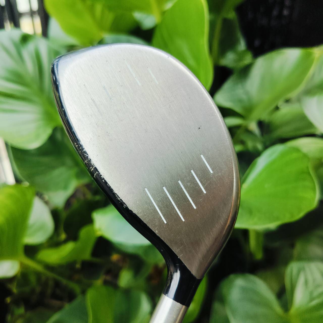 *** ไม้กอล์ฟมือซ้าย *** Driver Taylormade BURNER กระดองเคฟล่า จุด CG ต่ำ หัวใหญ่ หน้าสวีตสปอตกว้างเน้นตีง่ายๆค่ะ ไม้กอล์ฟพรีเมี่ยมมือสอง ของแท้ By NakaraLuxurious