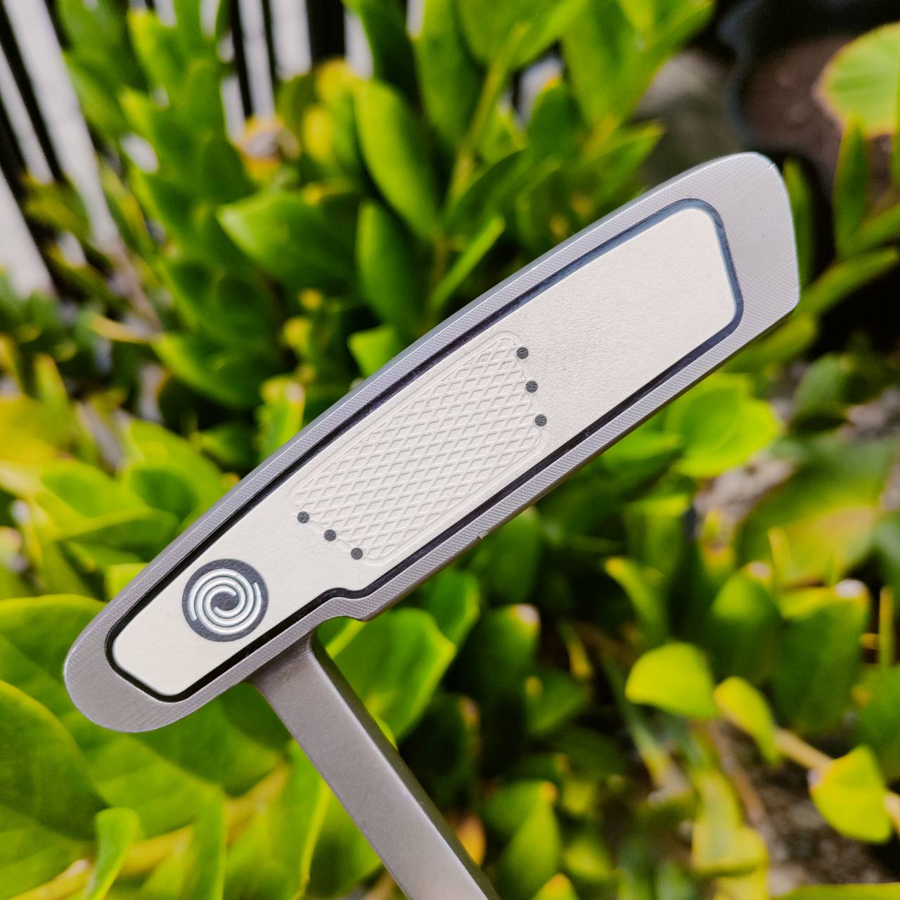 PUTTER ODYSSEY WHITE HOT TOUR #1 ความยาว 34 นิ้ว ใส่กริพ IOMIC สีเหลือง นุ่มมาก เกาะไลน์ที่สุด ไม้กอล์ฟพรีเมี่ยมมือสอง ของแท้ By NakaraLuxurious