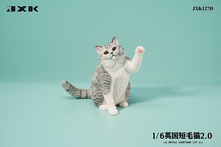 [สั่งจอง]JXK JXK127 1/6 : British Shorthair 2.0