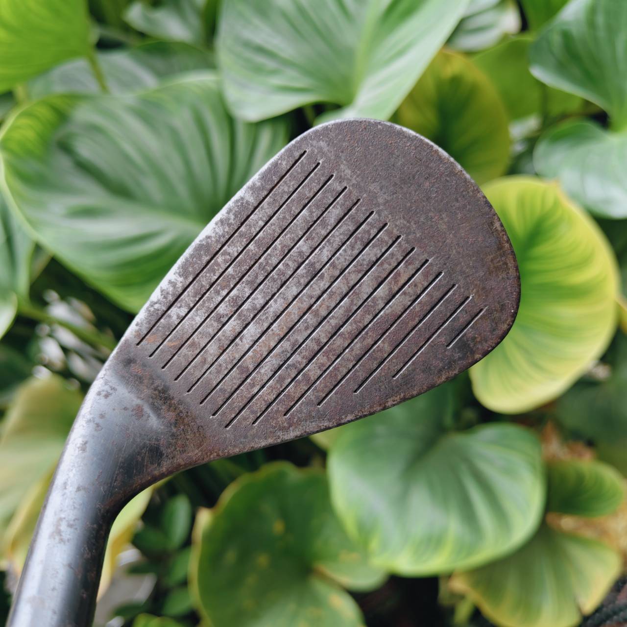 WEDGE องศา 52 งานคราฟสุดพรีเมียม ผลิตด้วยความใส่ใจจากเครื่องมือการผลิตชั้นยอด