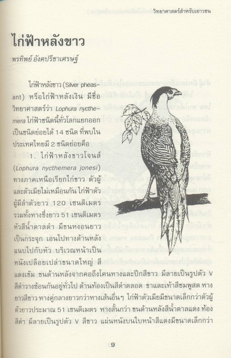 วิทยาศาสตร์สำหรับเยาวชน ชุด สัตว์น่ารู้ นก (๒) ๒