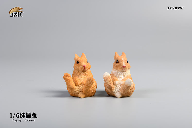 [สั่งจอง]JXK JXK057 1/6 : Pygmy Rabbit